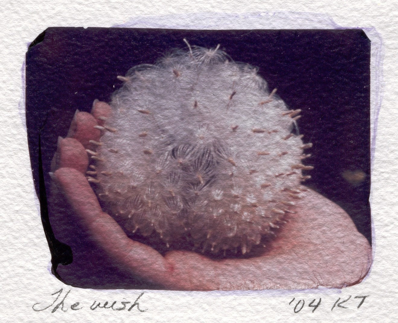 The Wish, unique one-of-a-kind print