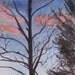 Sunset Lake, Barbara Rosenzweig, Art Print, Etsy, Reproduction of Original Watercolor Painting