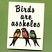 BIRDS ARE A%Holes - Mature & Funny Greeting Card - Put A Bird On It