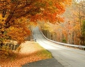Fine Art Photography , Fall Foliage, Photo Art Print 8x10 , "Fall in Kentucky" Gifts under 25