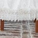 Extender Slip: Cream Venice Lace
