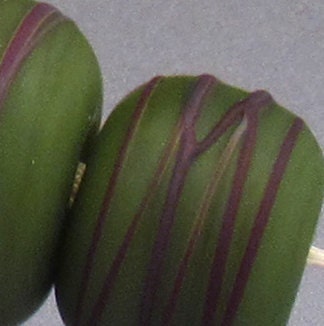 Lampwork glass bead set round beads small green lampwork Olive Rainbow Cocoon Anne Londez  SRA