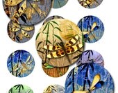 Dragonflies Moon Bamboo Digital Collage Rounds JPEG (N-15C)