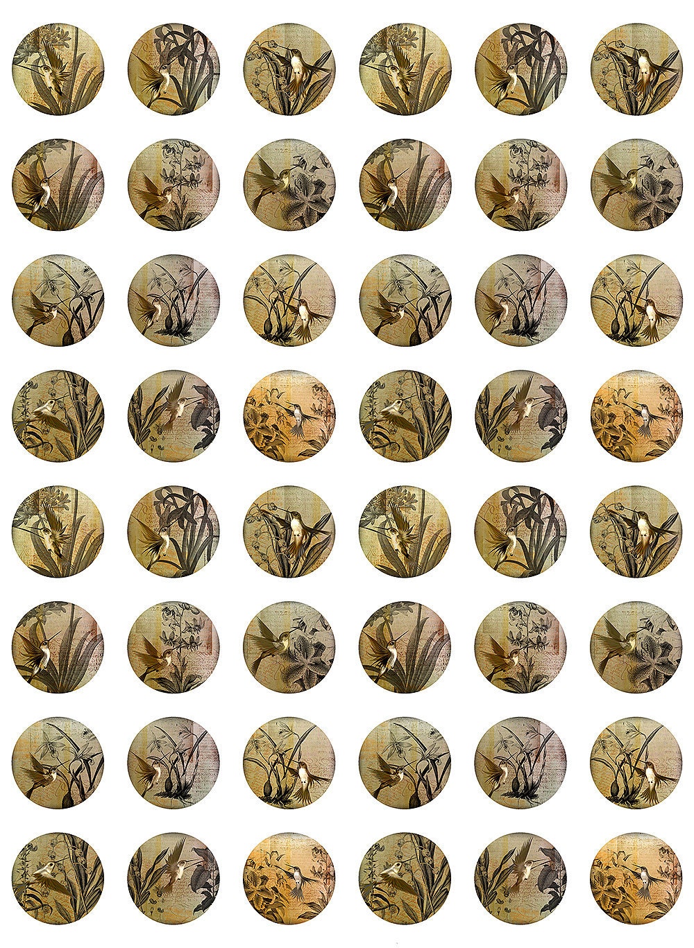 Hummingbirds Vintage Ephemera Botanical Digital Collage Sheet 1 inch Rounds JPEG (12-79)