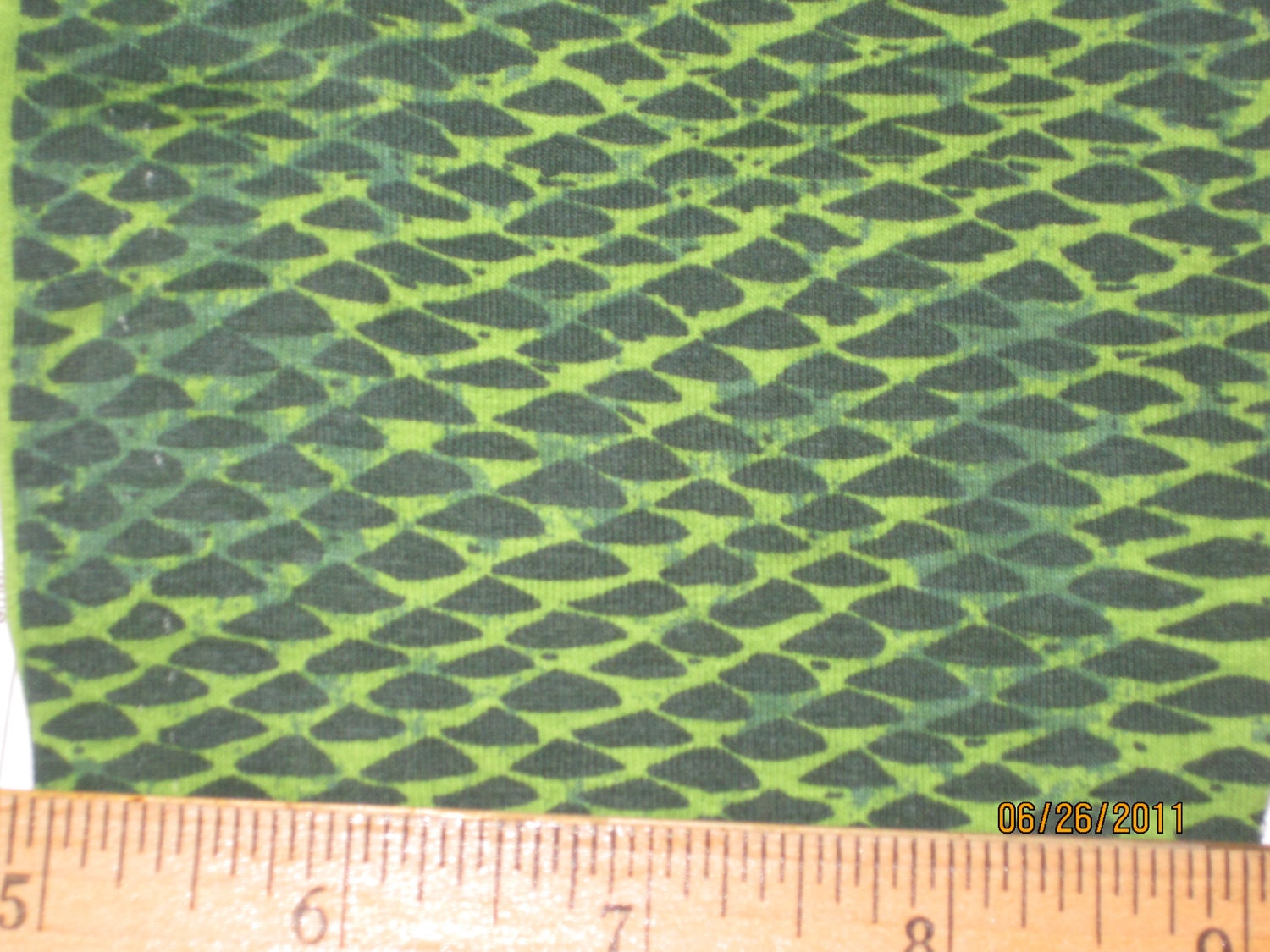 Reptile Print