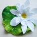Lotus felt brooch- hairclip