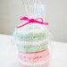 French Macaron Soaps -  2 macaroons - food soap - 5.5 oz - pastel pink and mint green