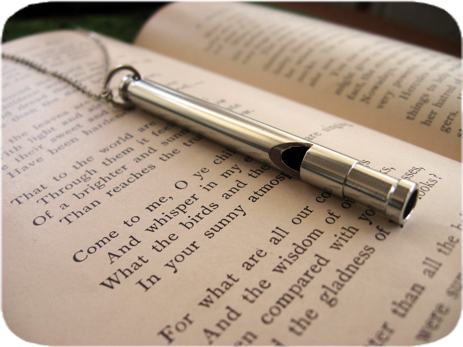 Delicate Silver Whistle Necklace