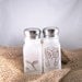 Owl Salt and Pepper Shakers Etched Glass