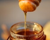 Pure Raw Ohio Fall Honey -8 ounce jar