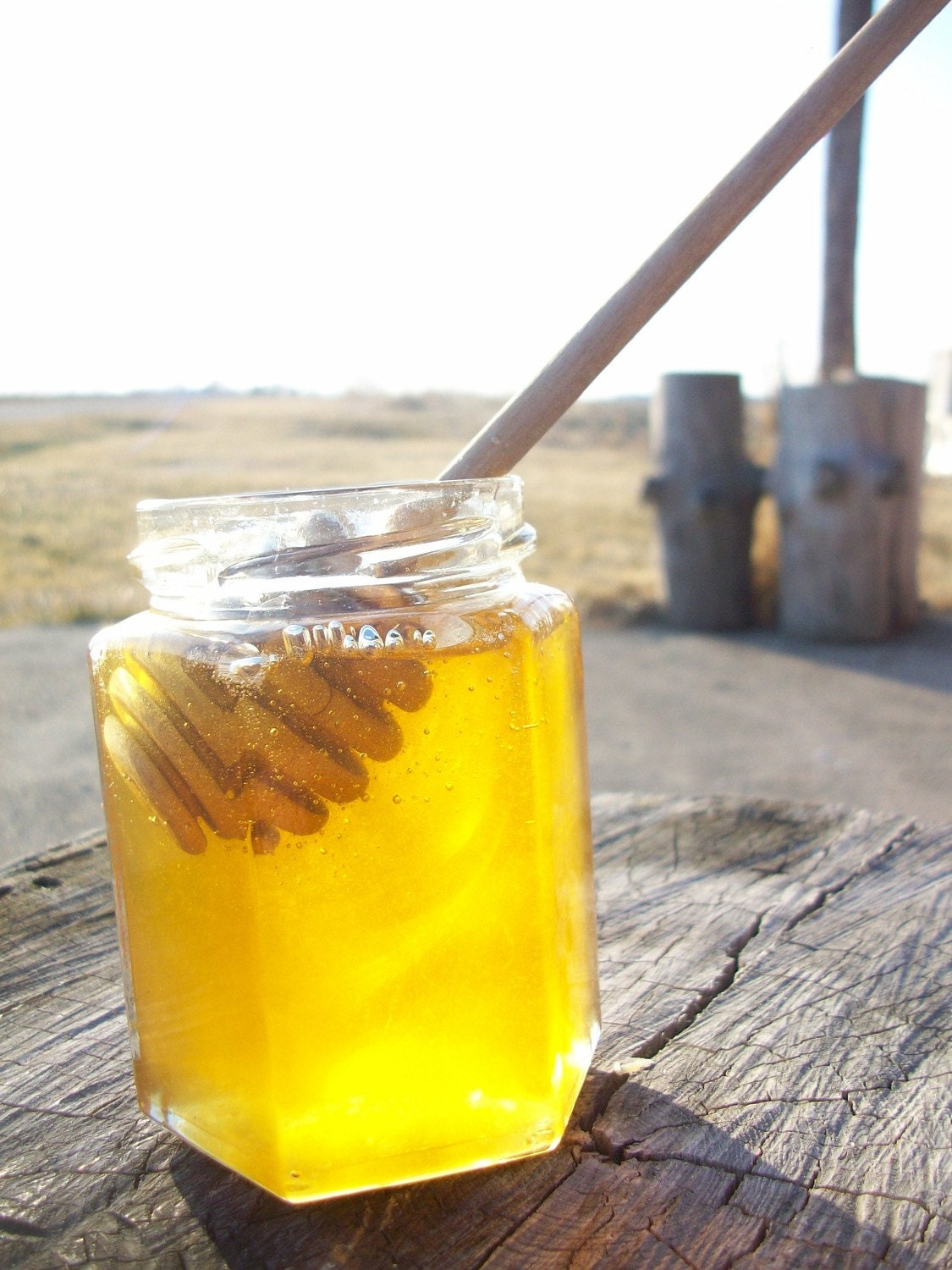 Raw Honey - Ohio Summer Harvest - 32 ounce jar