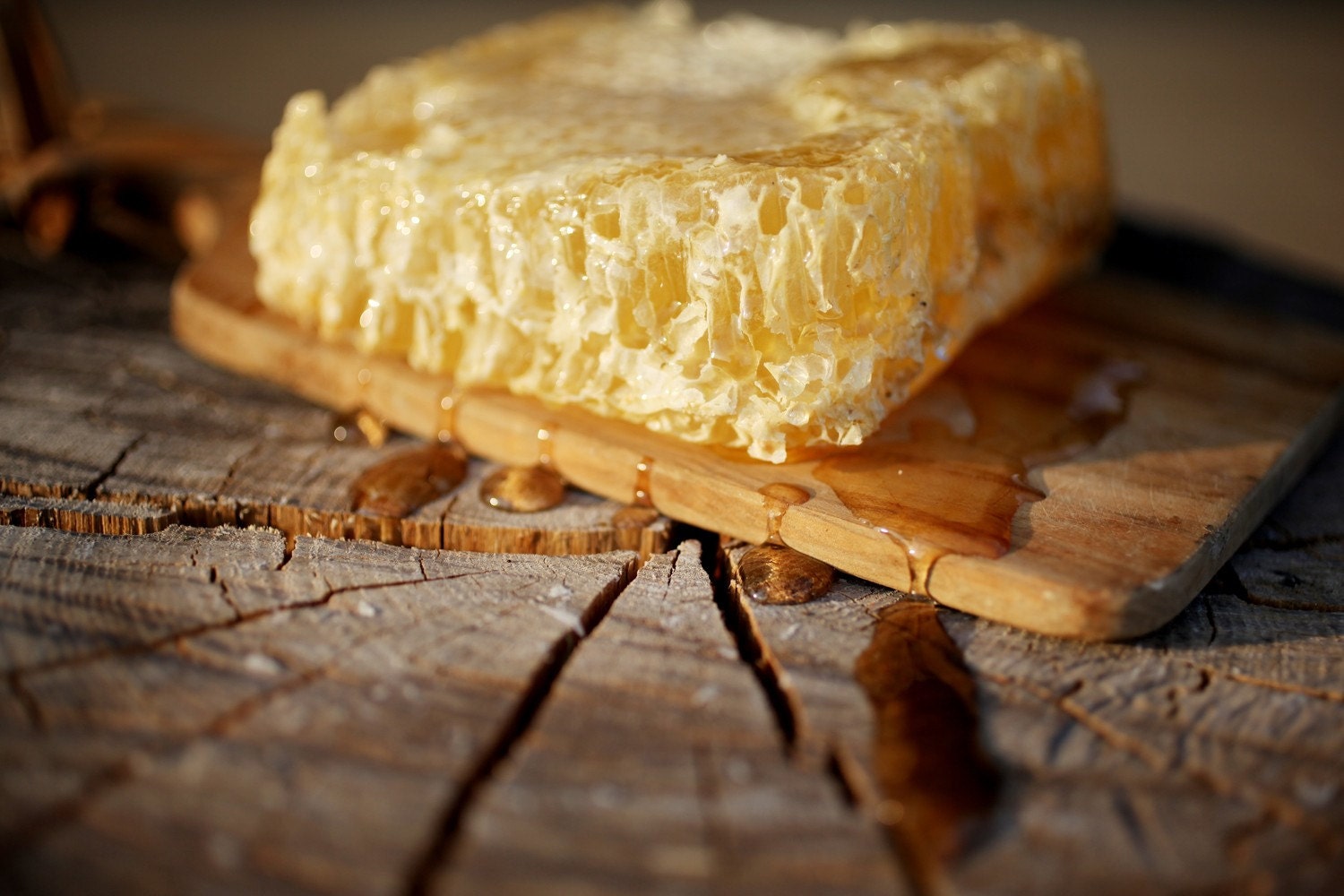 Pure raw comb honey - straight from the beehive