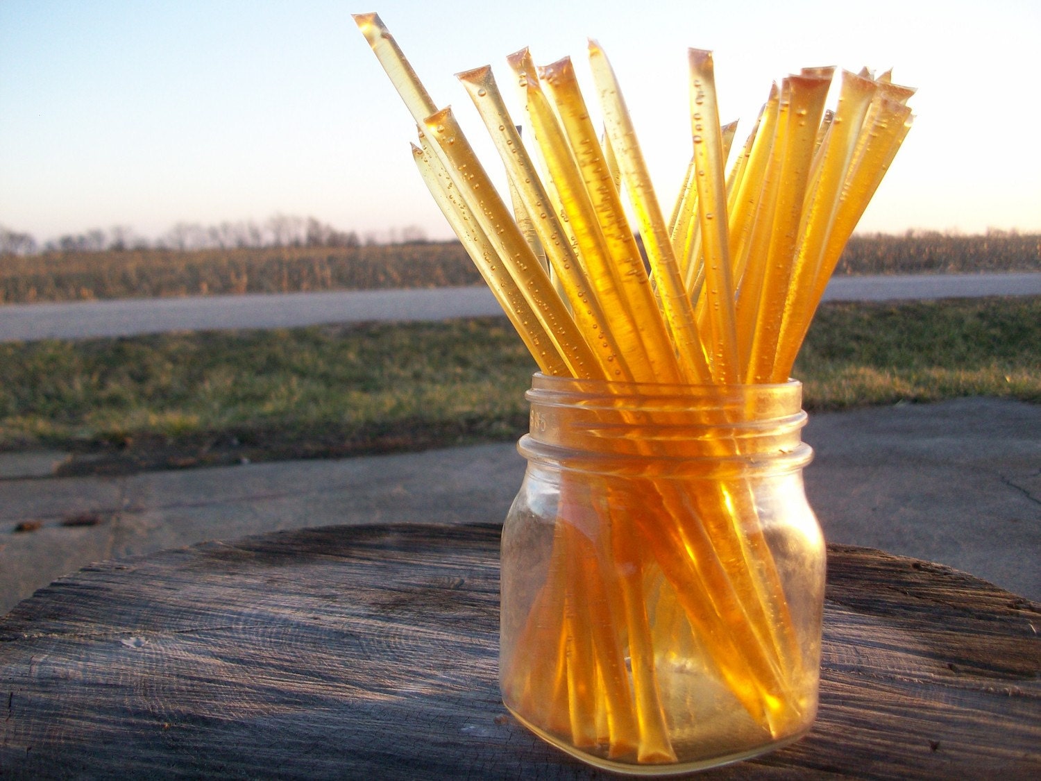 Honey Sticks -Pure Raw Summer Honey - 25 honey filled straws
