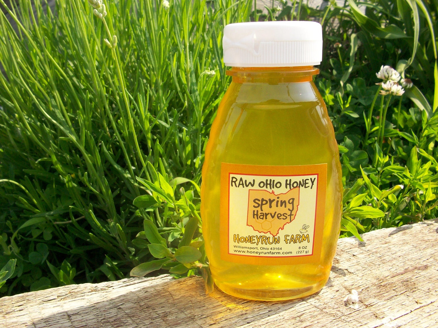 Pure Raw Spring Honey - 8 ounce jar - Black Locust honey