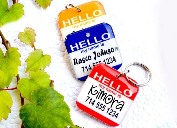 Custom Pet Tag Custome Name Tag Hello My Name is by ID4Pet