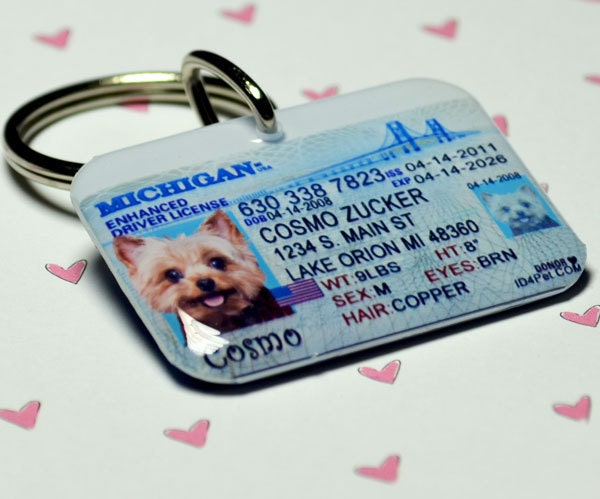 Dog Tags - Florida Driver License Pet ID Tags