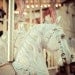 It's a merry-go-round day - 8x8 or 8x10 or 8x12 - Fine art photograph print