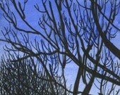 Moon Caught by Tree