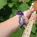 Macrame hemp bracelet. blue sea glass beaded bracelet with sugar skull, rose quartz and black velvet flower