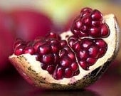 Pomegranate Passion Organic Sugar Body Polish - 8 oz. jar