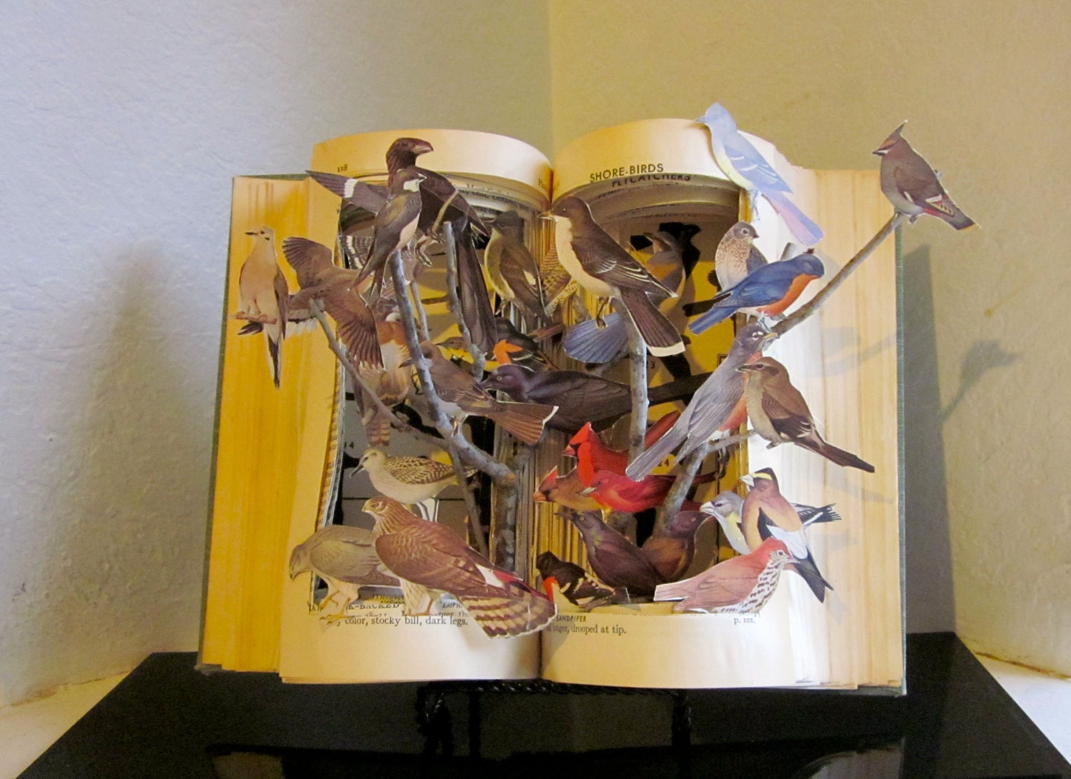Altered Book Autopsy "Birds of A Feather"