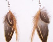 Feather earrings Long Natural Brown Vintage Mallard Hen Dangling earrings