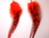 Feather Earrings Explosion Red Stripe Rooster Earrings