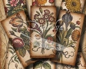 ANTIQUE FLOWER SKETCHES - Digital Collage Sheet with 30 different Dominos 1x2 inch or Bamboo size for pendant magnet paper craft