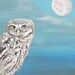 Little Owl on Tap - Eric Kempson