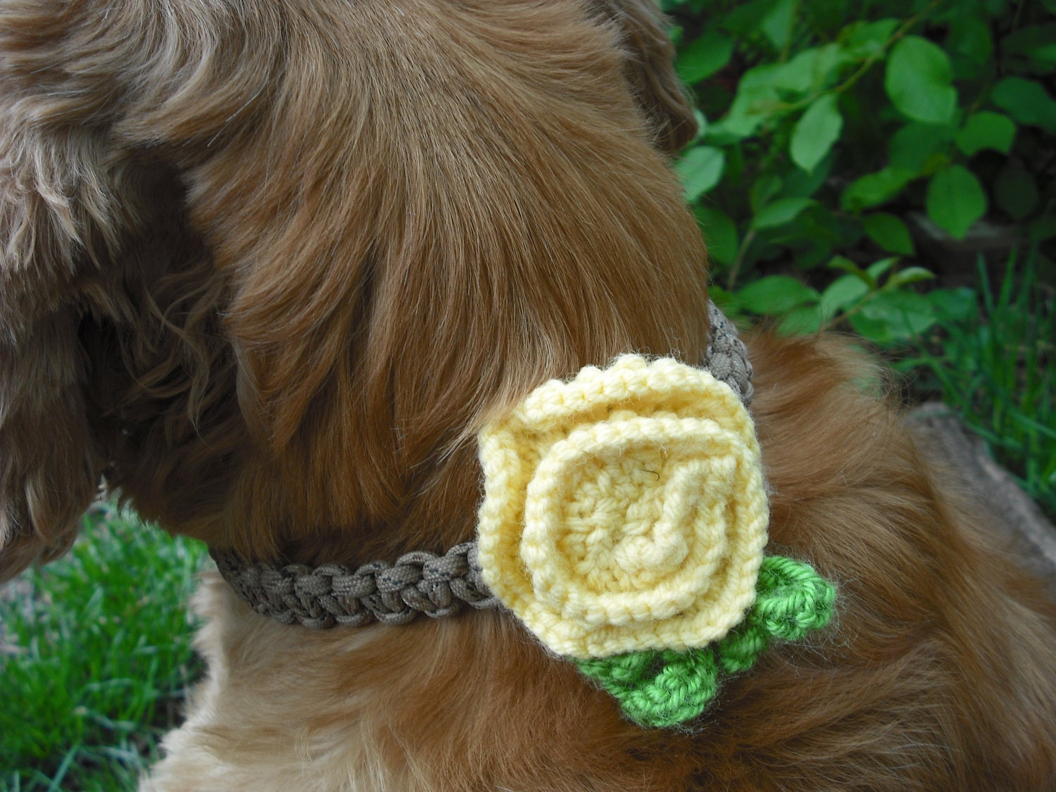 Floral Dog Collar Accessory, Pale Yellow & Green Bloom, Custom Colors Available