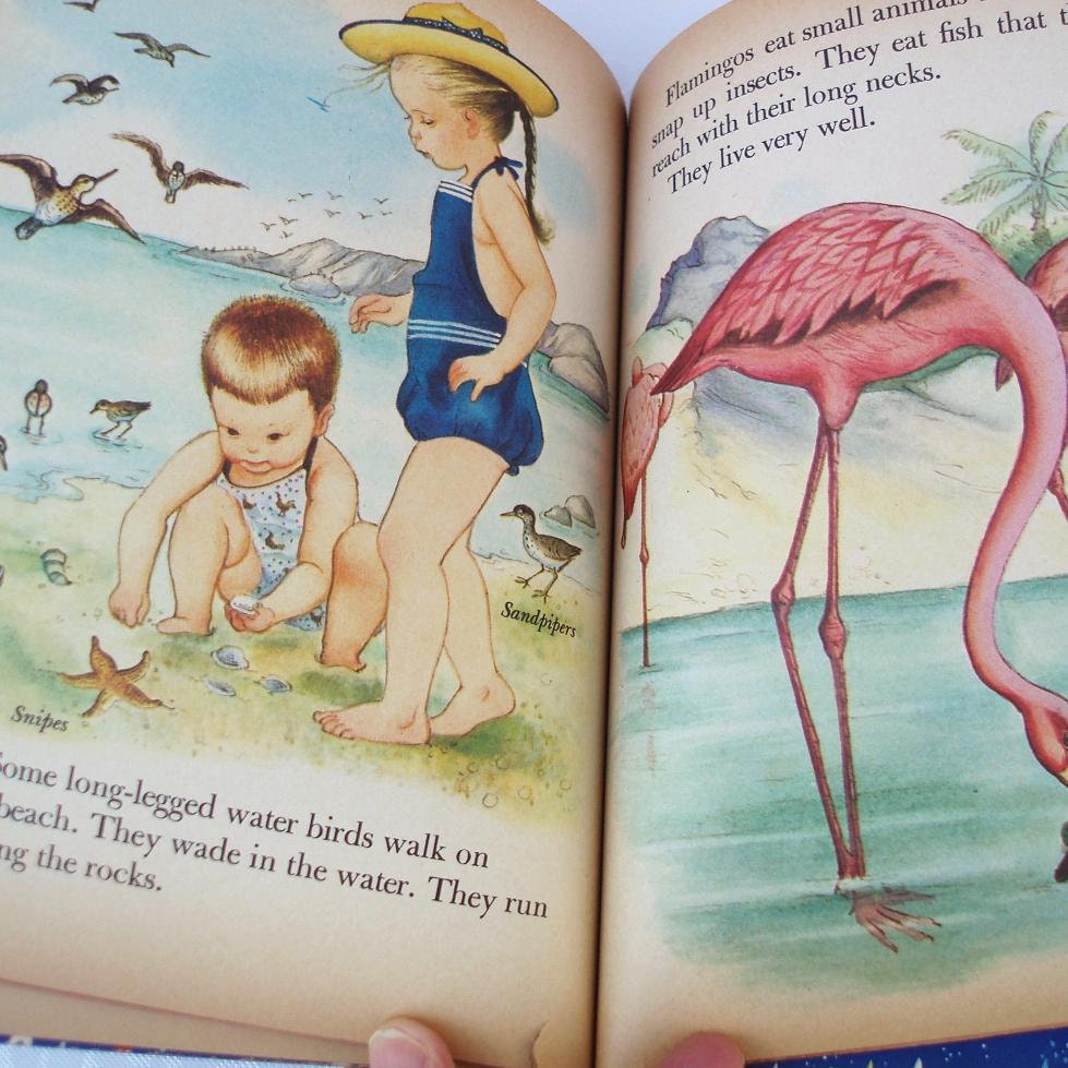 Little Golden Books Kids Reading Books Bird Book for Kids 1958 Childrens Book Reading for Kids