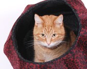 Outer Space Pod for your Cat