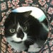CIJ Summer Sale Jumbo Cat Ball modern cat bed handmade in Red Black and Turquoise fabric