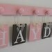 HAYDEN Baby Girl Personalized Wall Decorations Includes 6 Wooden Plaque Letters and Pegs in Chocolate Brown and Light Pink.