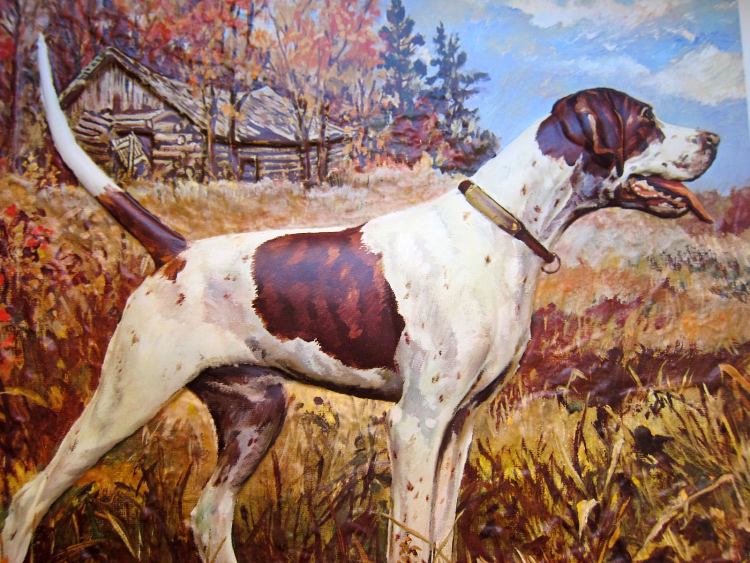Vintage 1970s Australian embossed gun dog wall calendar