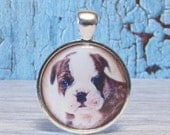 I Love My Dog 3 - 1 inch Circle Pendant with Free Ball Chain or Keyring (1092)