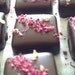 Vegan Sea Salt Caramels Raspberry
