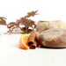Cassia Mandarin Soap Round / Handmade Cold Process Soap / Cinnamon Soap