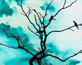 Bird Tree Silhouettes- Fine Art Photograph