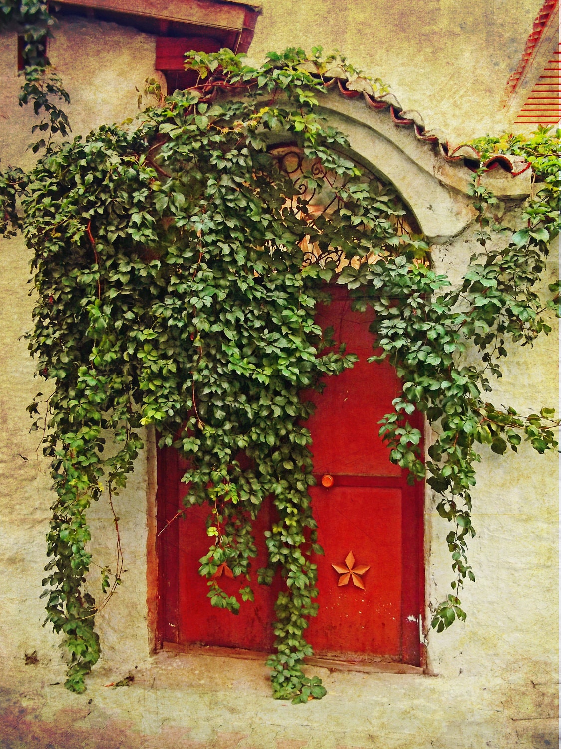 Door - Fine Art Photography Print 5x7 (13x18)