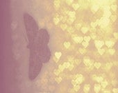Shy Butterfly - Set Of 4 -Fine Art Photography Print 5x5 (13x13) - ColorfulPixelsByLife
