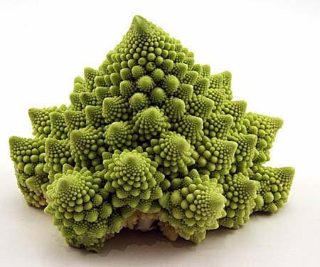 Breaking Physics Cauliflower