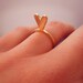 Pink Valentine's ring / bague Valentine rose