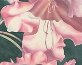 Print Pink Rhodedremdum from original watercolor realism traditional by Peggy Martinez