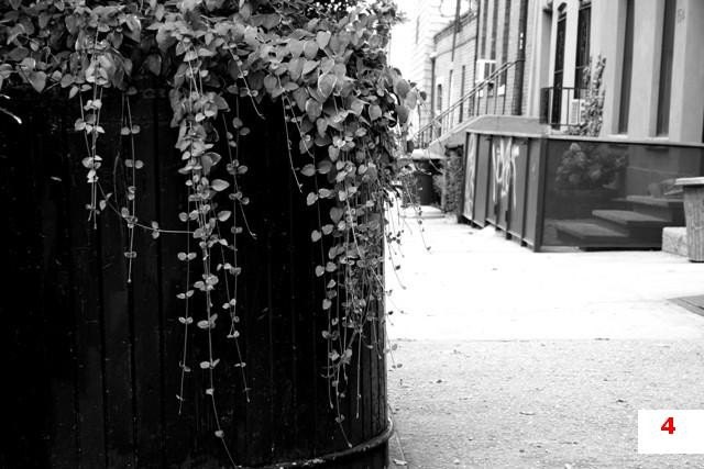 Brooklyn Series 11x14 002