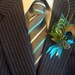 Peacock boutonniere, lovely and elegant classic favorite