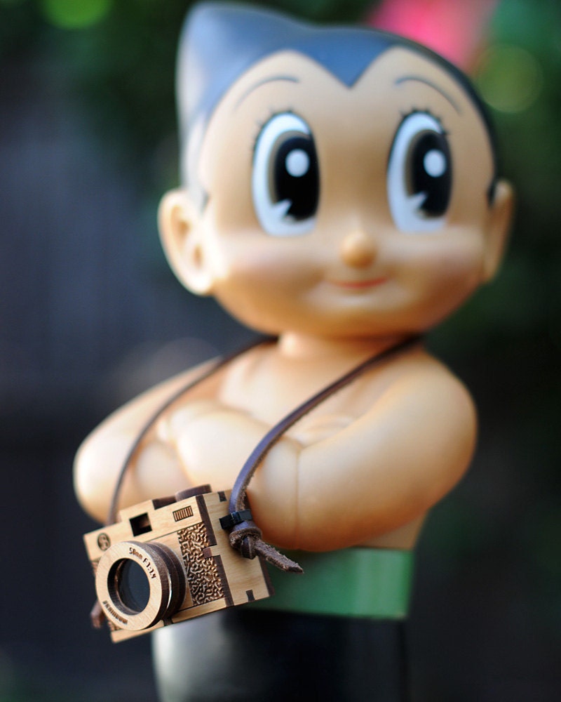 3D Wooden Camera