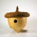 Woodland Acorn Birdhouse - Rustic Little Birdhouse - Bird Lover Gift