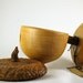 Woodland Acorn Birdhouse - Rustic Little Birdhouse - Bird Lover Gift