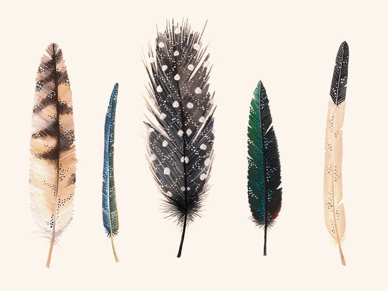 Feathers 2 - 8 x11 print